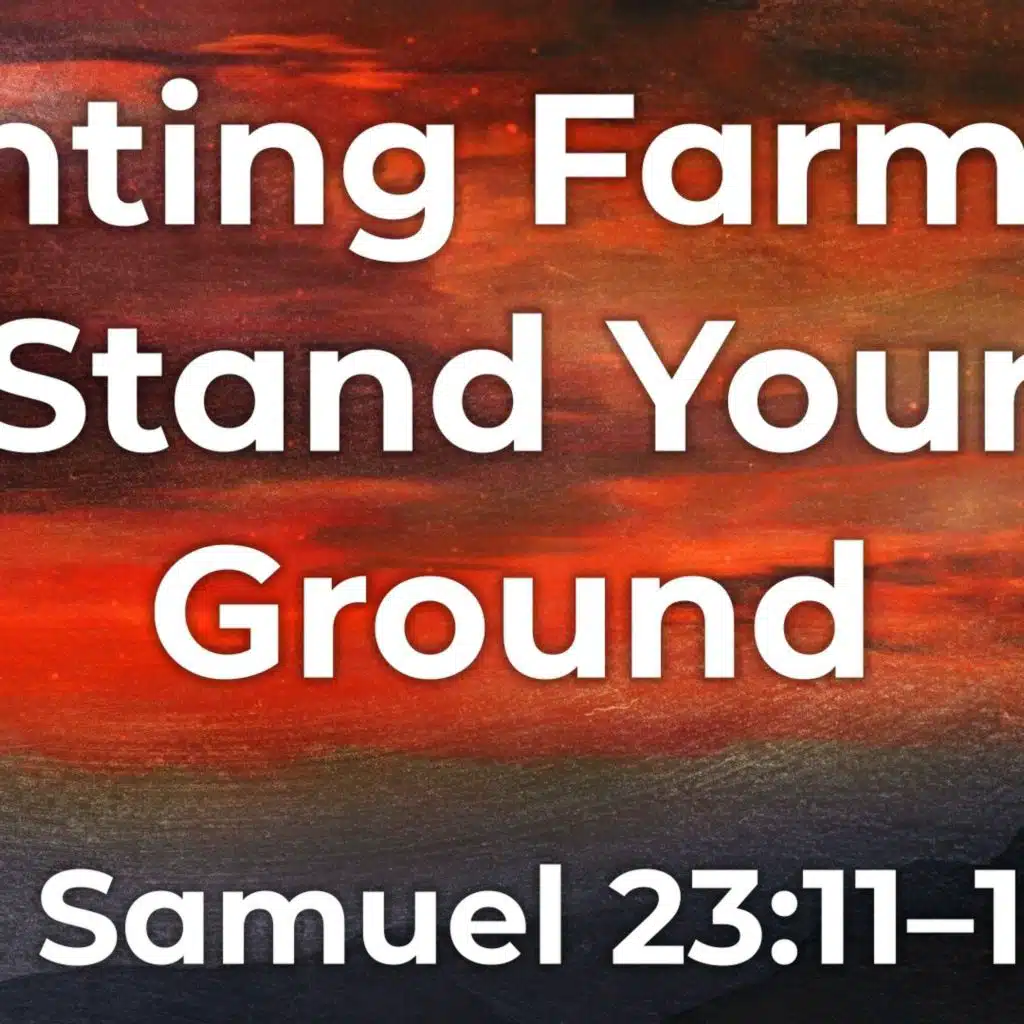Fighting Farmers: Stand Your Ground