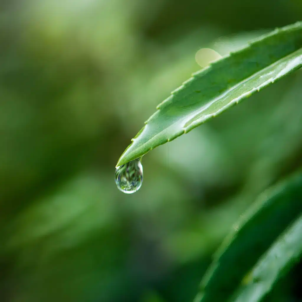 Regen über den Bergen
