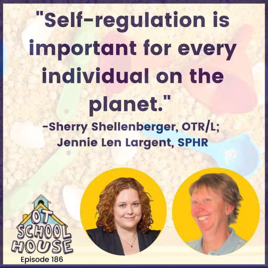 The Hidden Advantage: Why OTs Hold the Key to School Success Through Self-Regulation