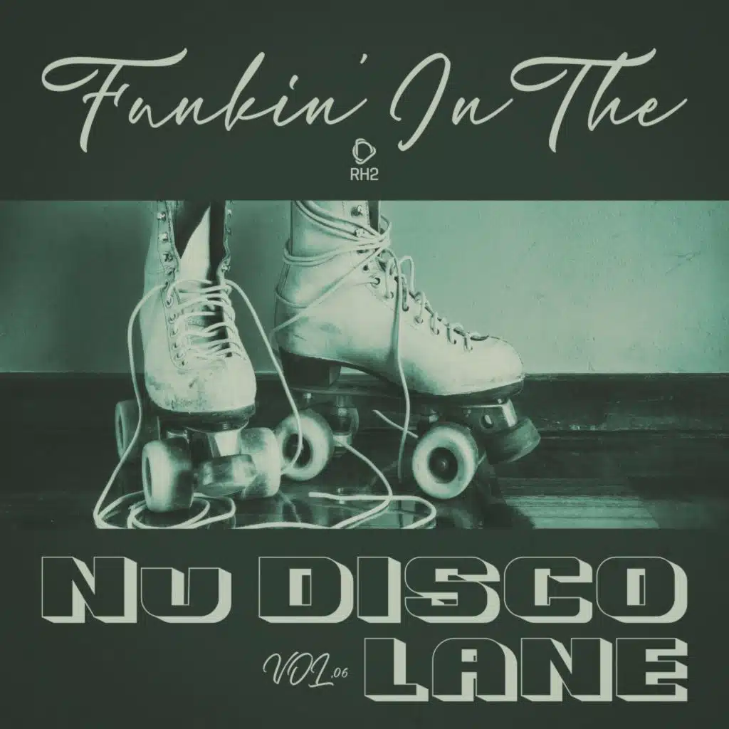 Funkin' in the Nu Disco Lane, Vol.06
