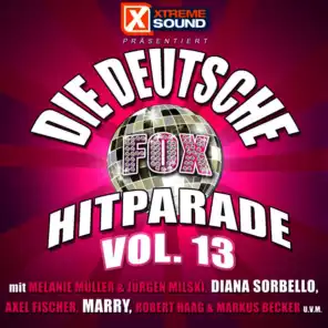 Die deutsche Fox Hitparade, Vol. 13