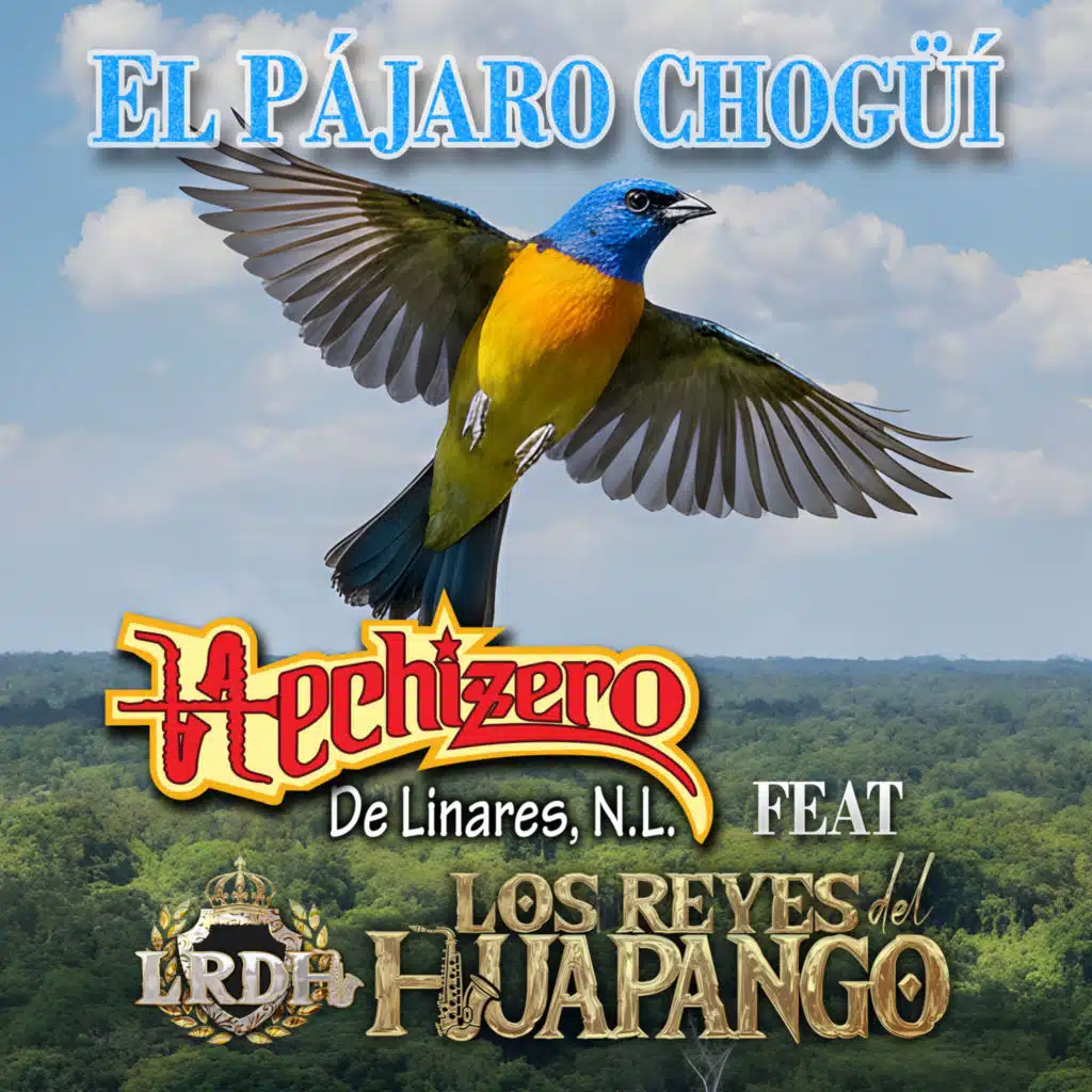 El Pájaro Chogüí (feat. Los Reyes del Huapango)