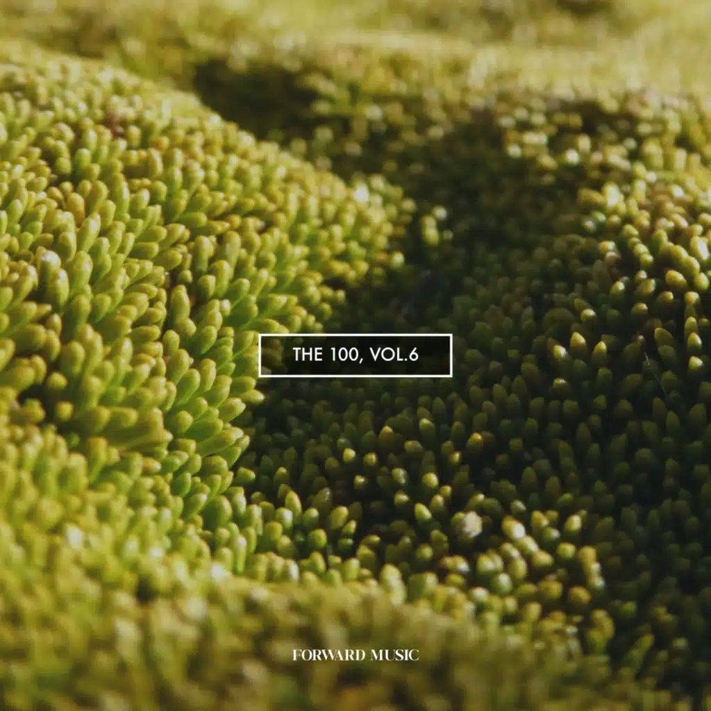 Daniel Testas & Nacho Barcús