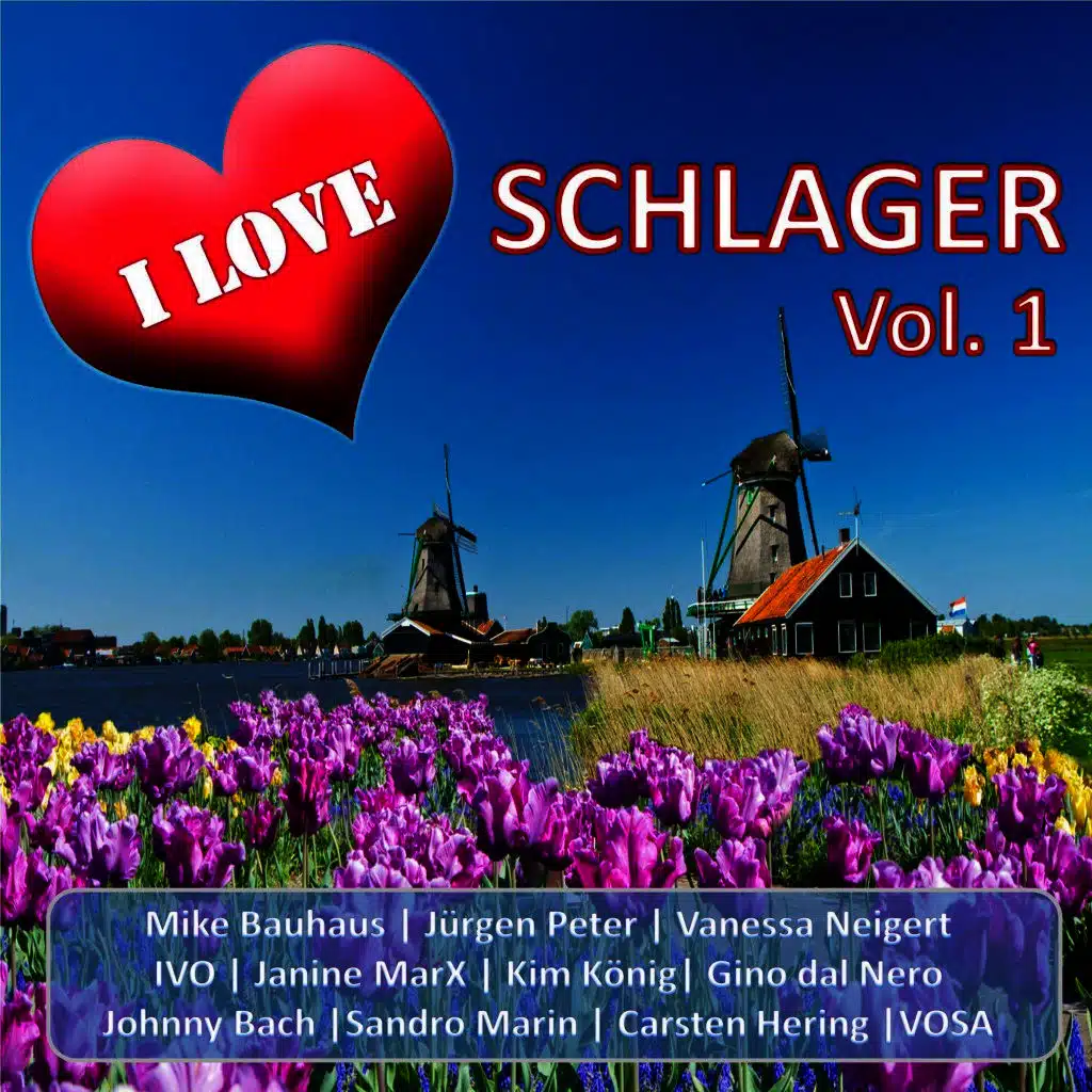 Tanz mit mir (Radio Version)
