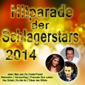 Hitparade der Schlagerstars 2014