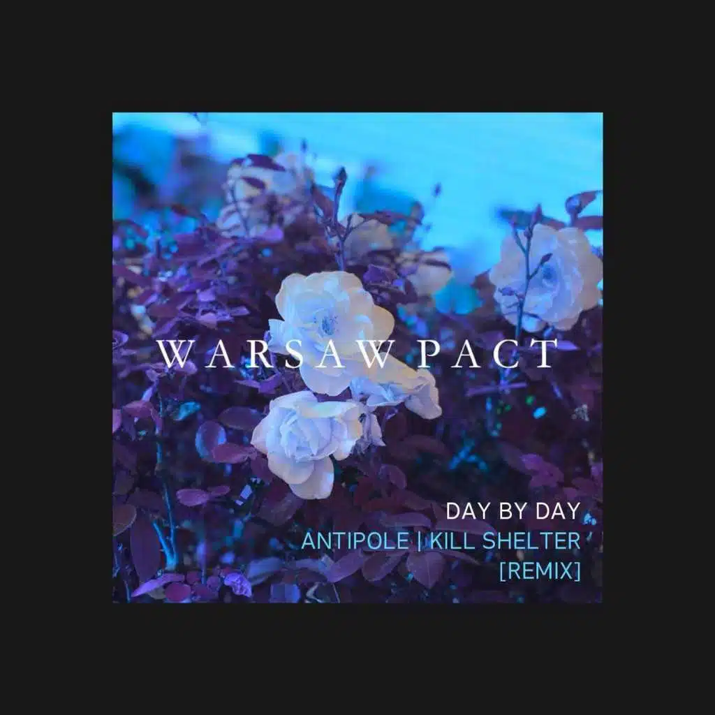 Day by Day (Remix) [feat. Antipole & Kill Shelter]