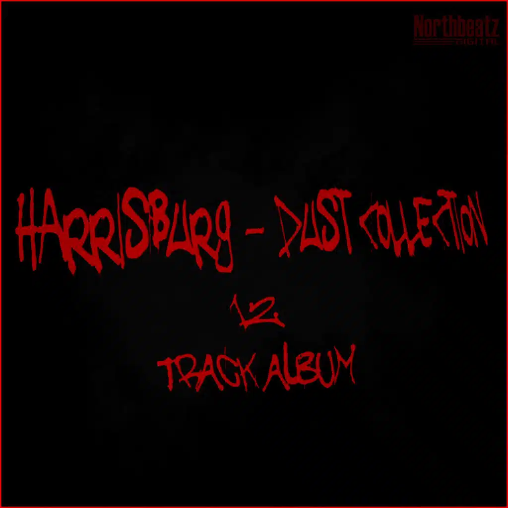 Dust Collection (12 Track Album)