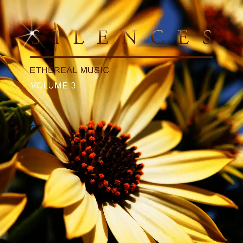 Silences Ethereal Music, Vol. 3