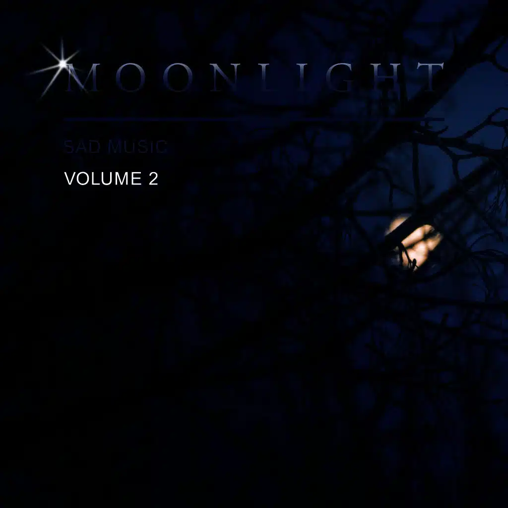 Moonlight Sad Music, Vol. 2