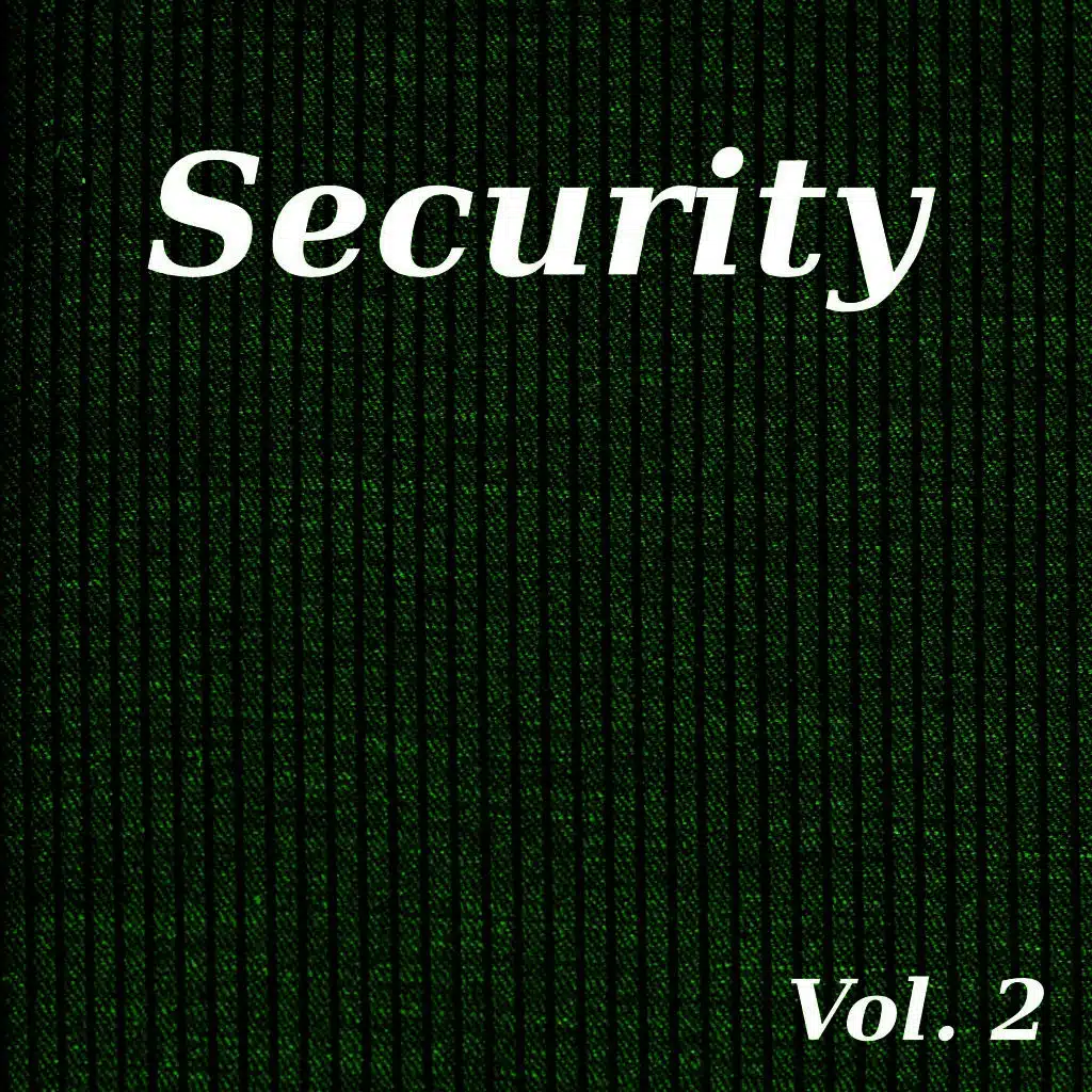 Security, Vol. 2