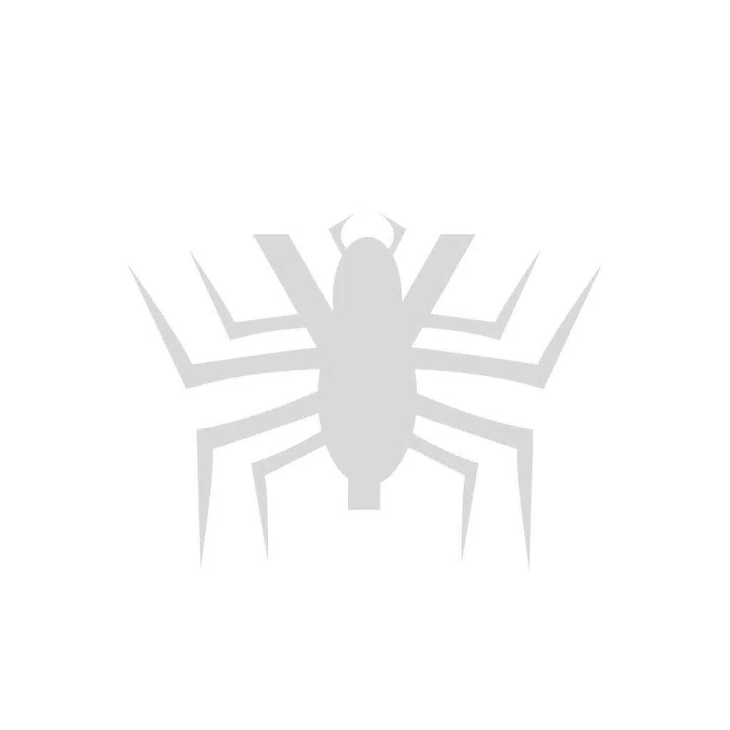 SPYDER