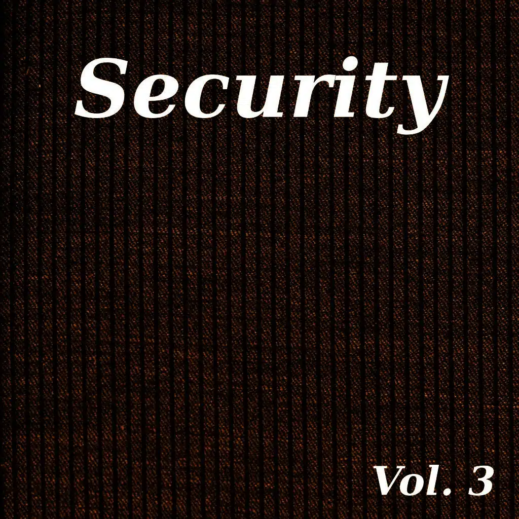 Security, Vol. 3