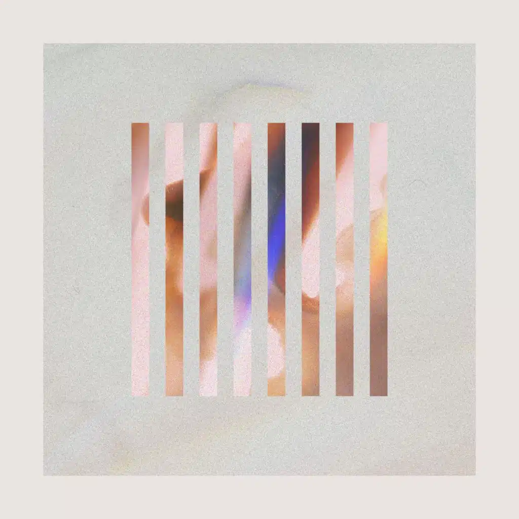 Above The Tree Tops The Full Moon Hangs in Blue Skies