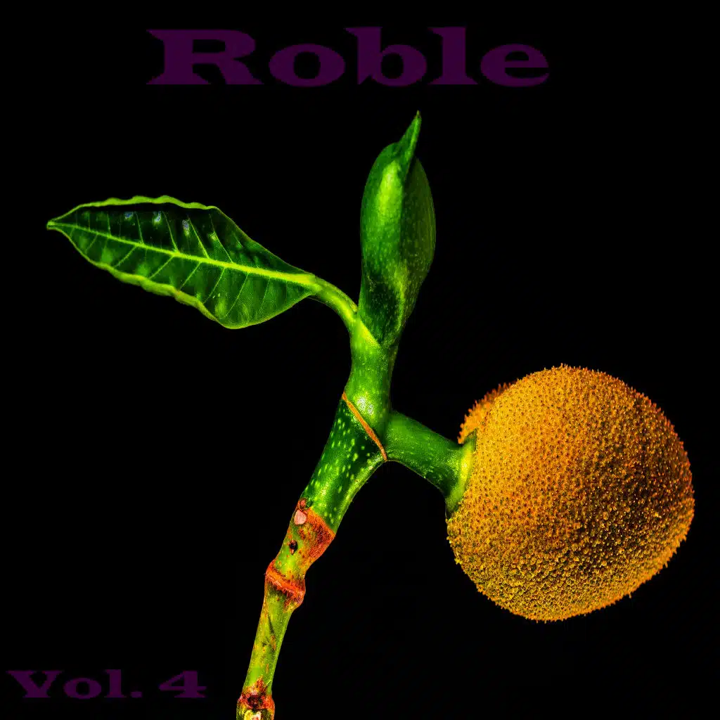 Roble, Vol. 4