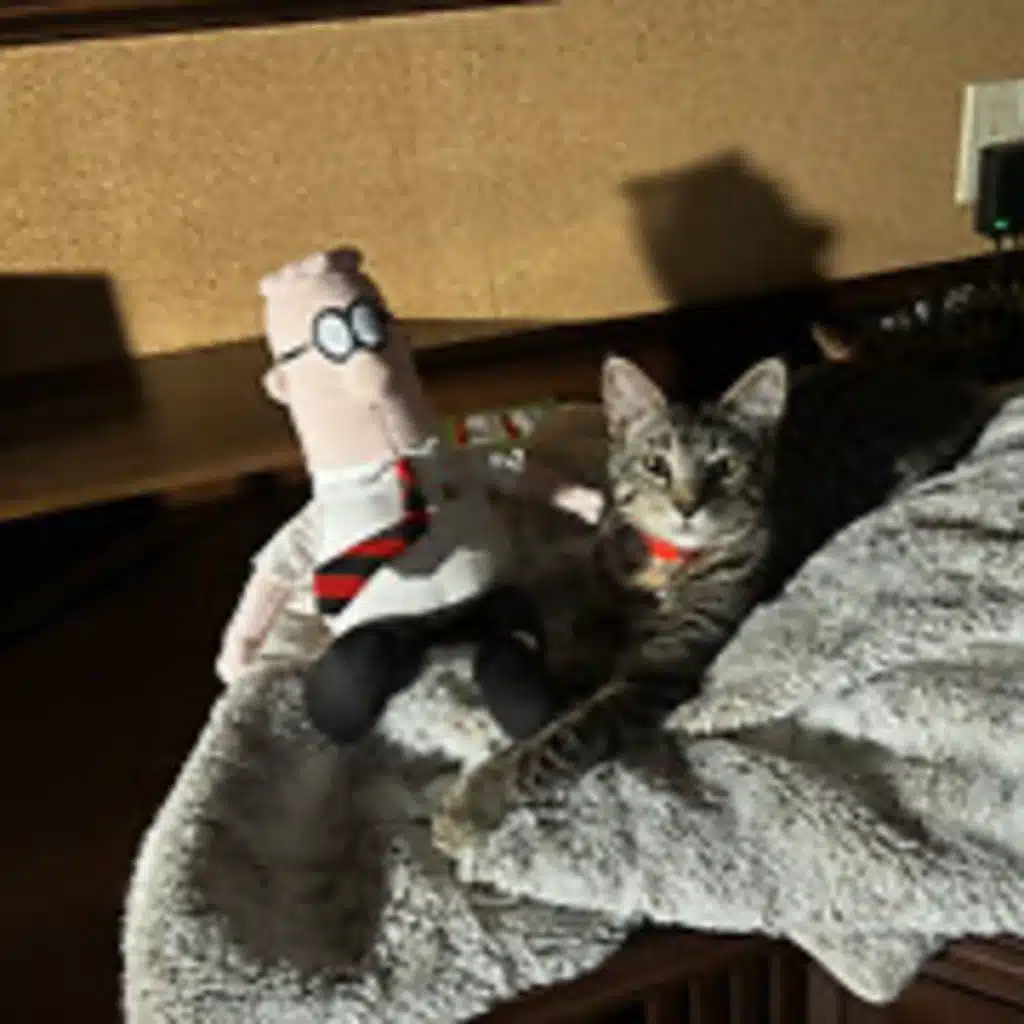 Episode 2981 CWSA 10/07/25