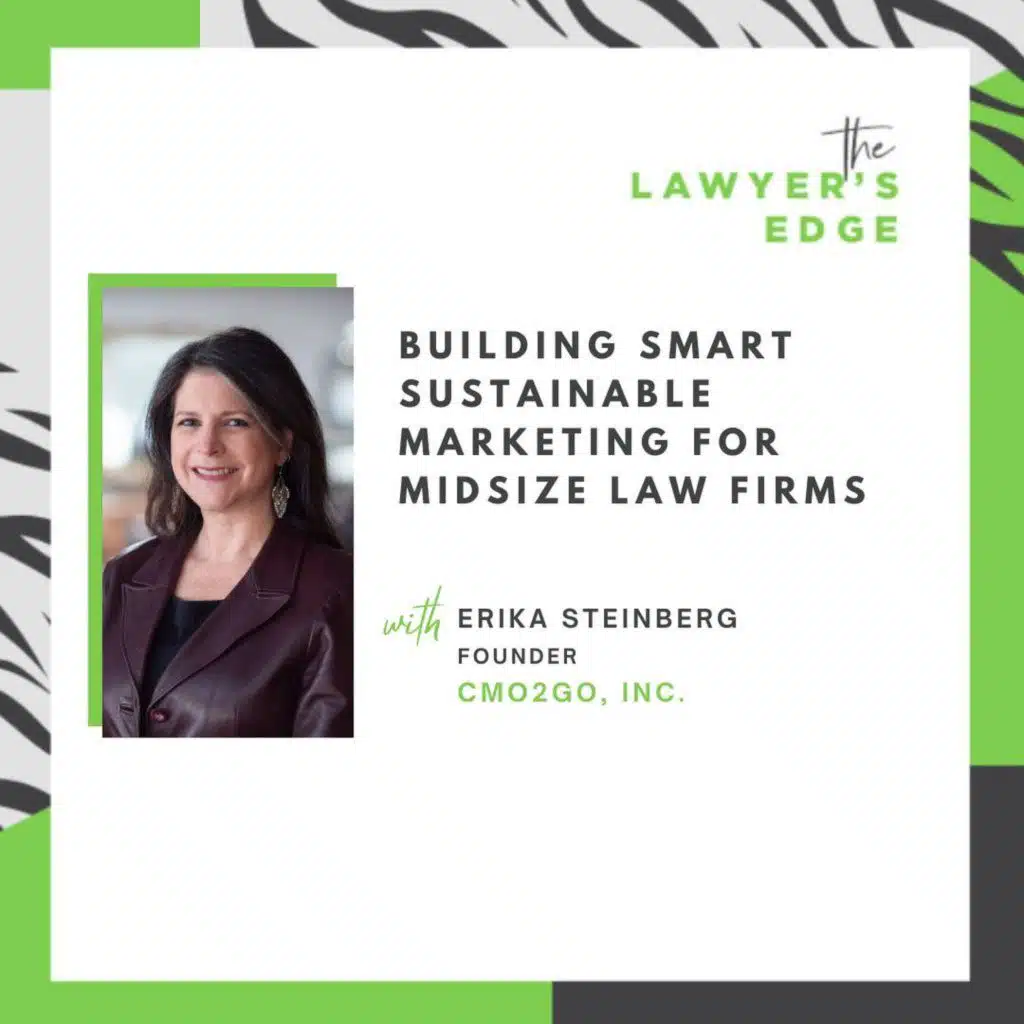 Erika Steinberg | Building Smart Sustainable Marketing for Midsize Law Firms