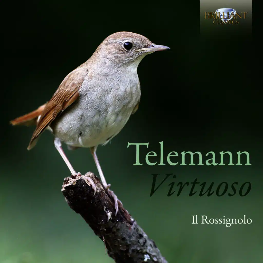 Telemann: Virtuoso