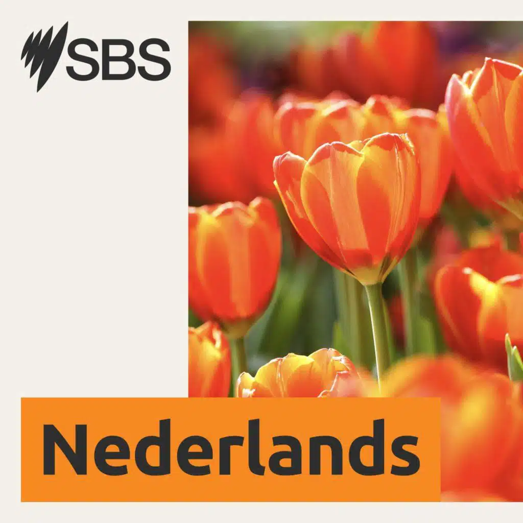 Terugluisteren: uitzending woensdag 8 oktober 2025