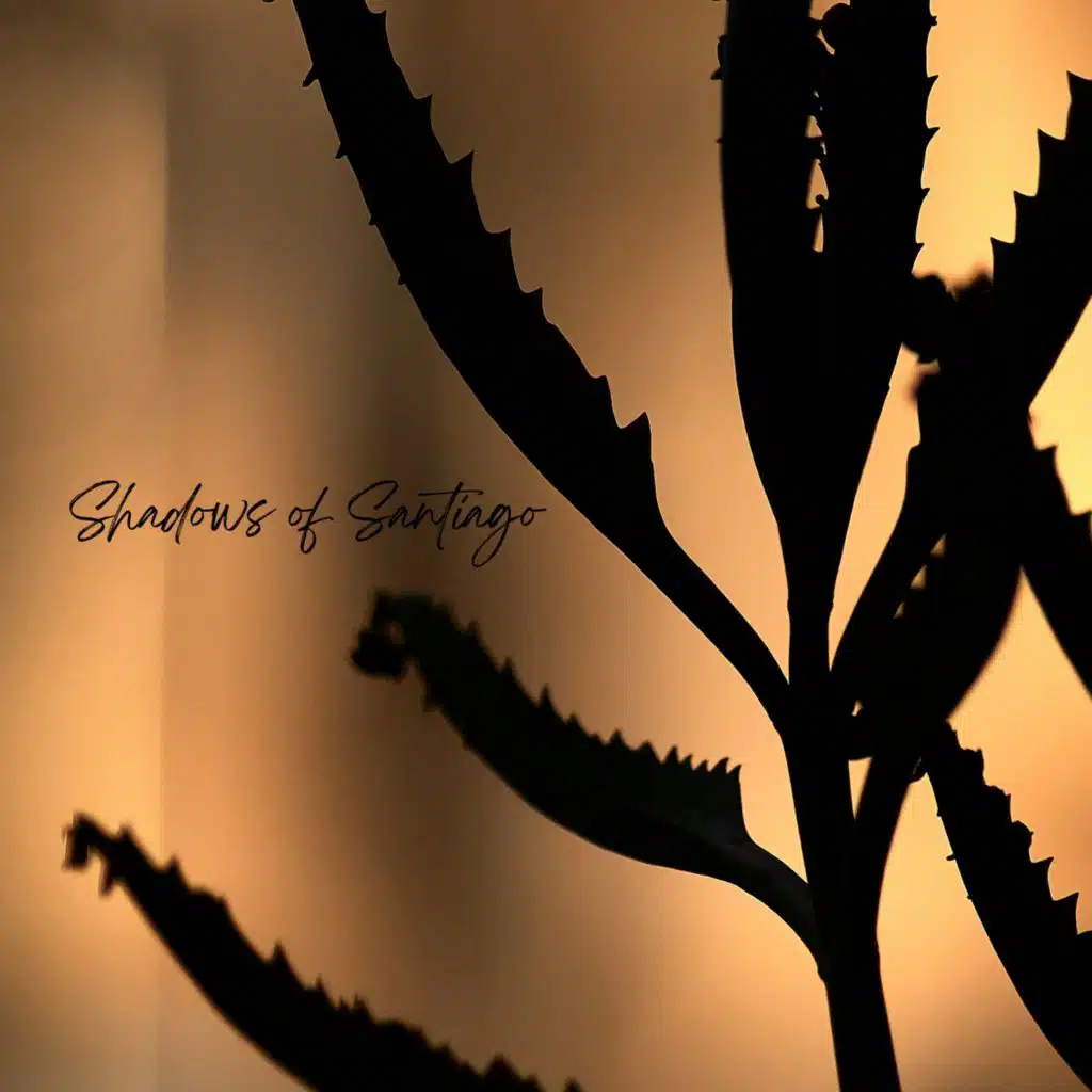 The Grace Smith Gang