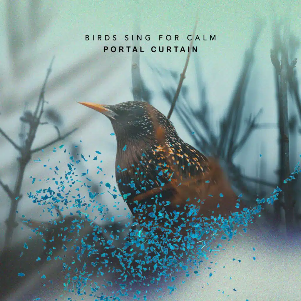 Birds Sing for Calm