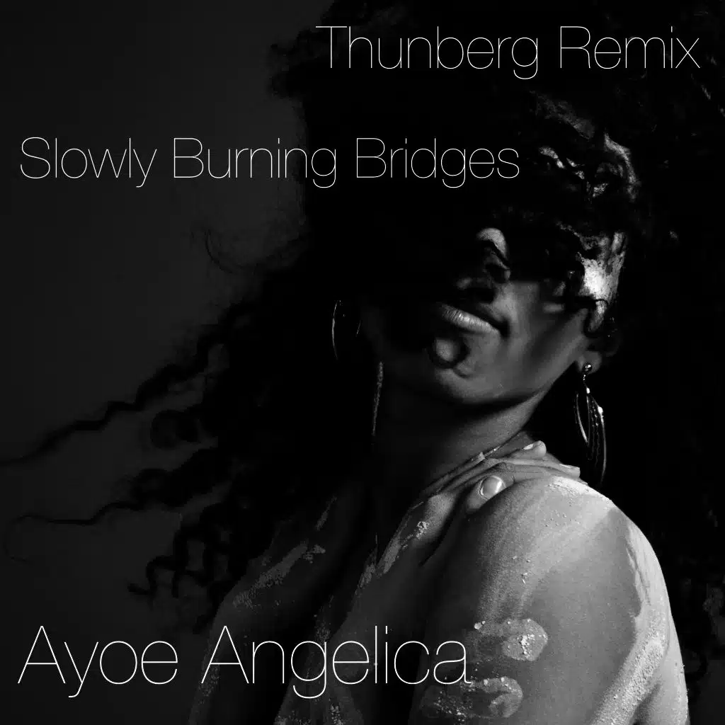 Slowly Burning Bridges (Thunberg Remix)
