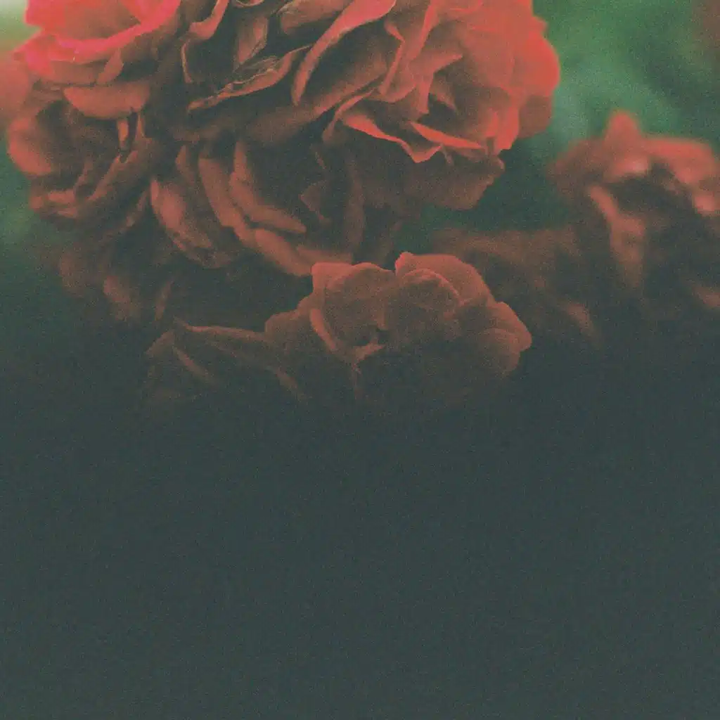 Foam and Sand & Robot Koch