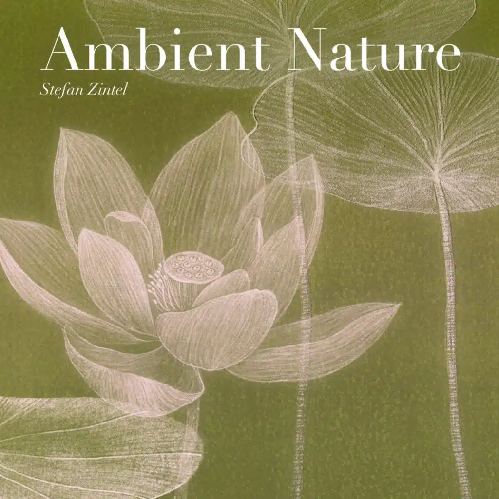 Ambient Nature