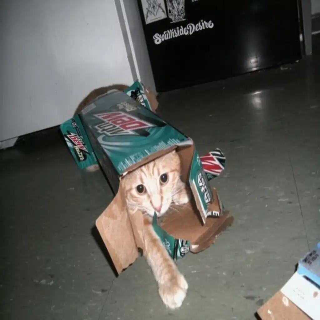 uhhh (feat. lungskull)