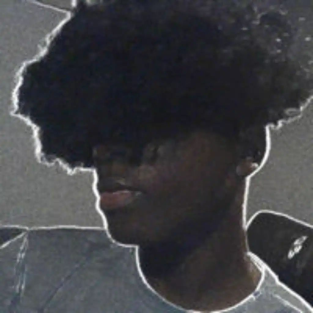 Simulation