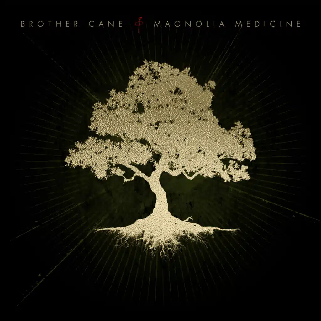 Magnolia Medicine