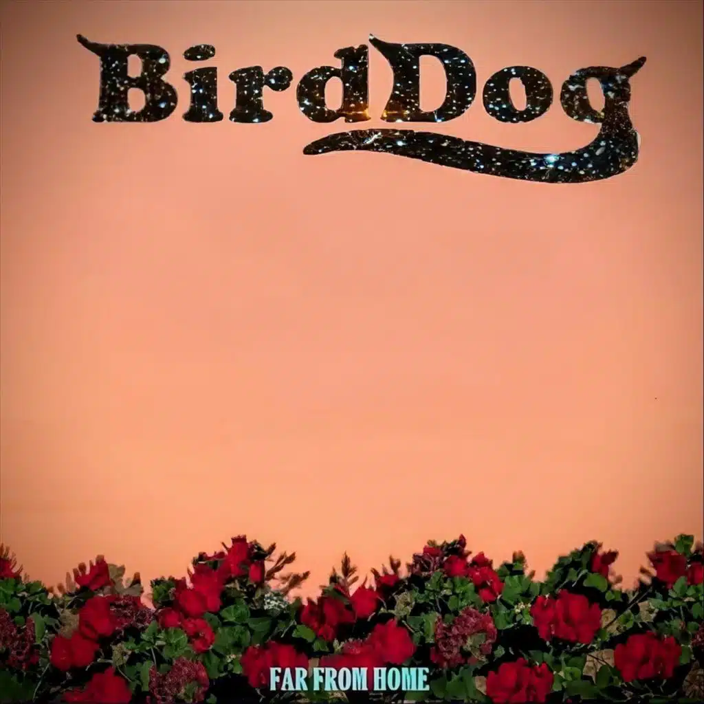 Birddog