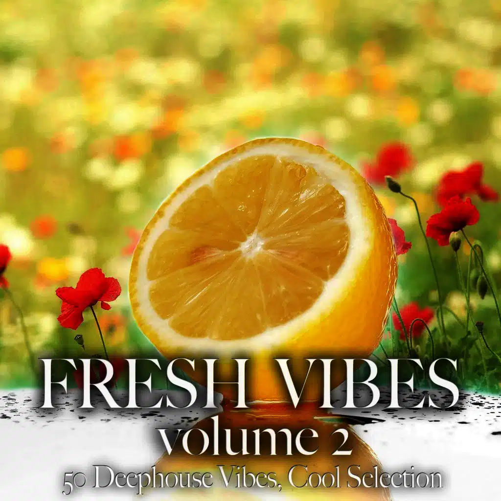 Fresh Vibes, Vol. 2