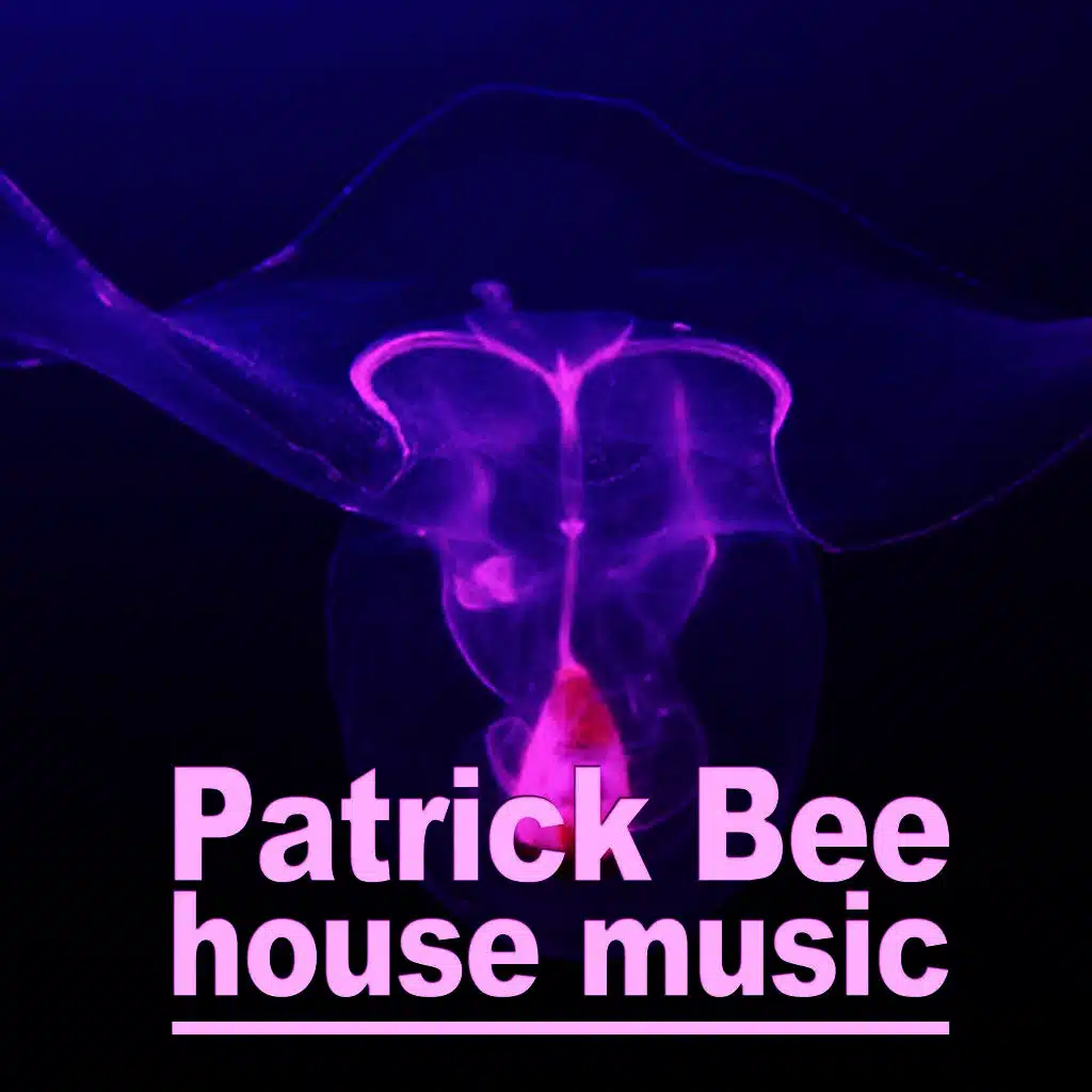 I Can (House & Passional Mix)