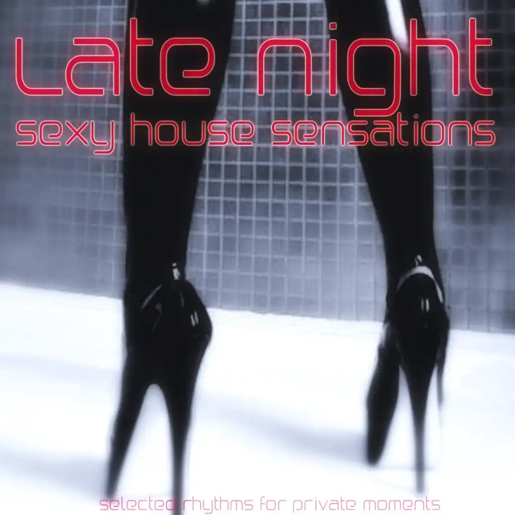 Late Night: Sexy House Sensations