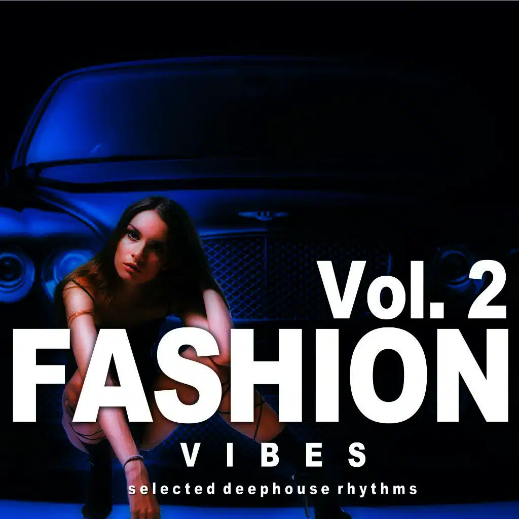 Fashion Vibes, Vol. 2