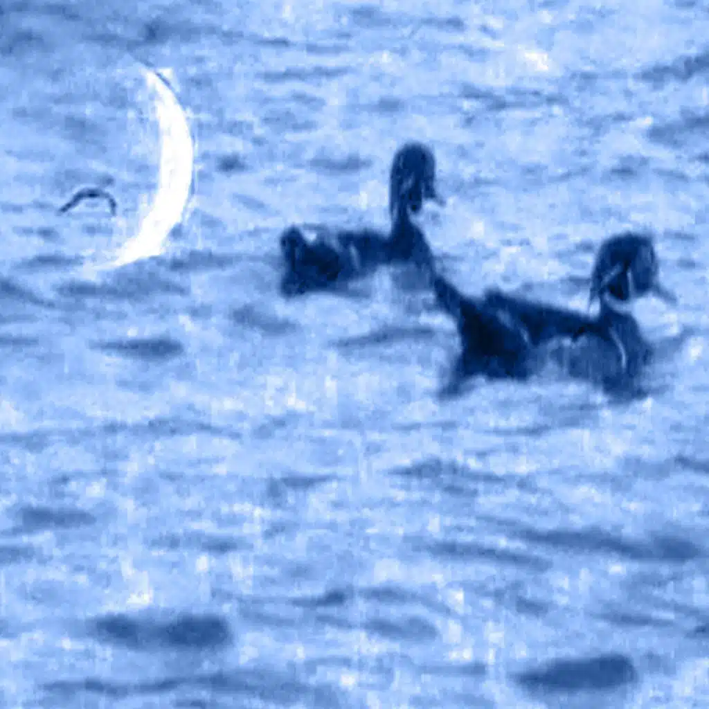 Mother, Please Guide Me