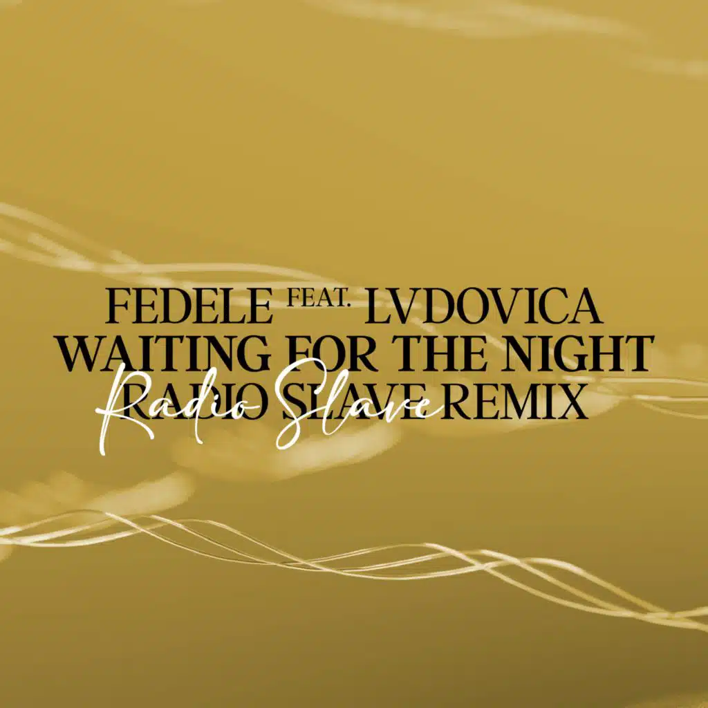 Waiting For The Night (Radio Slave Remix)