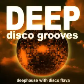 Deep Disco Grooves