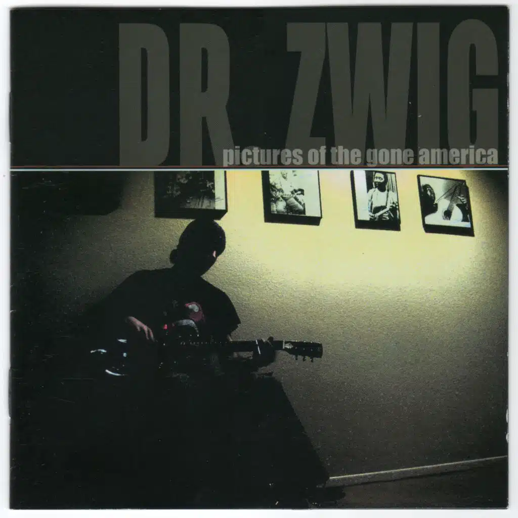 Pictures of the Gone America