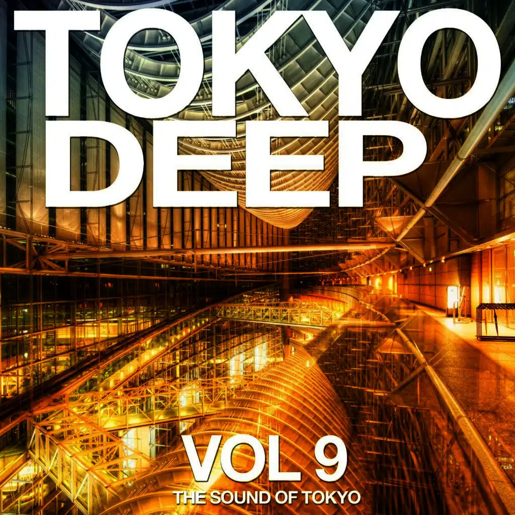 Tokyo Deep, Vol. 9