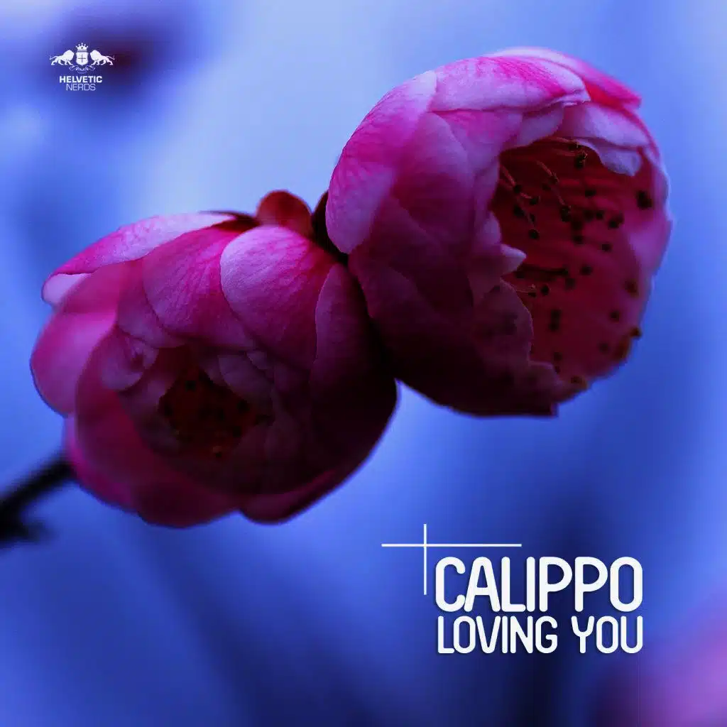 Loving You (Original Mix)