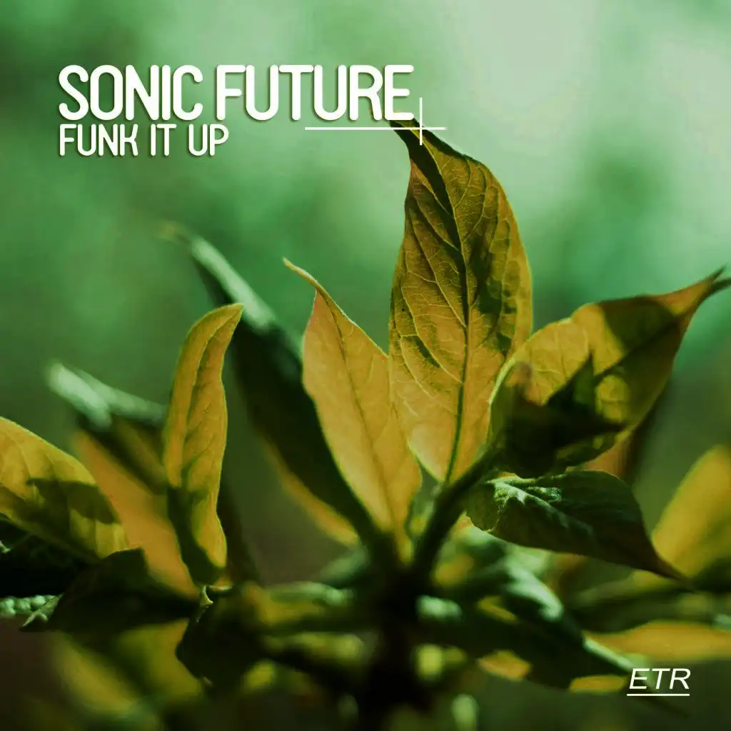 Funk It Up (Thomaz Krauze Remix)