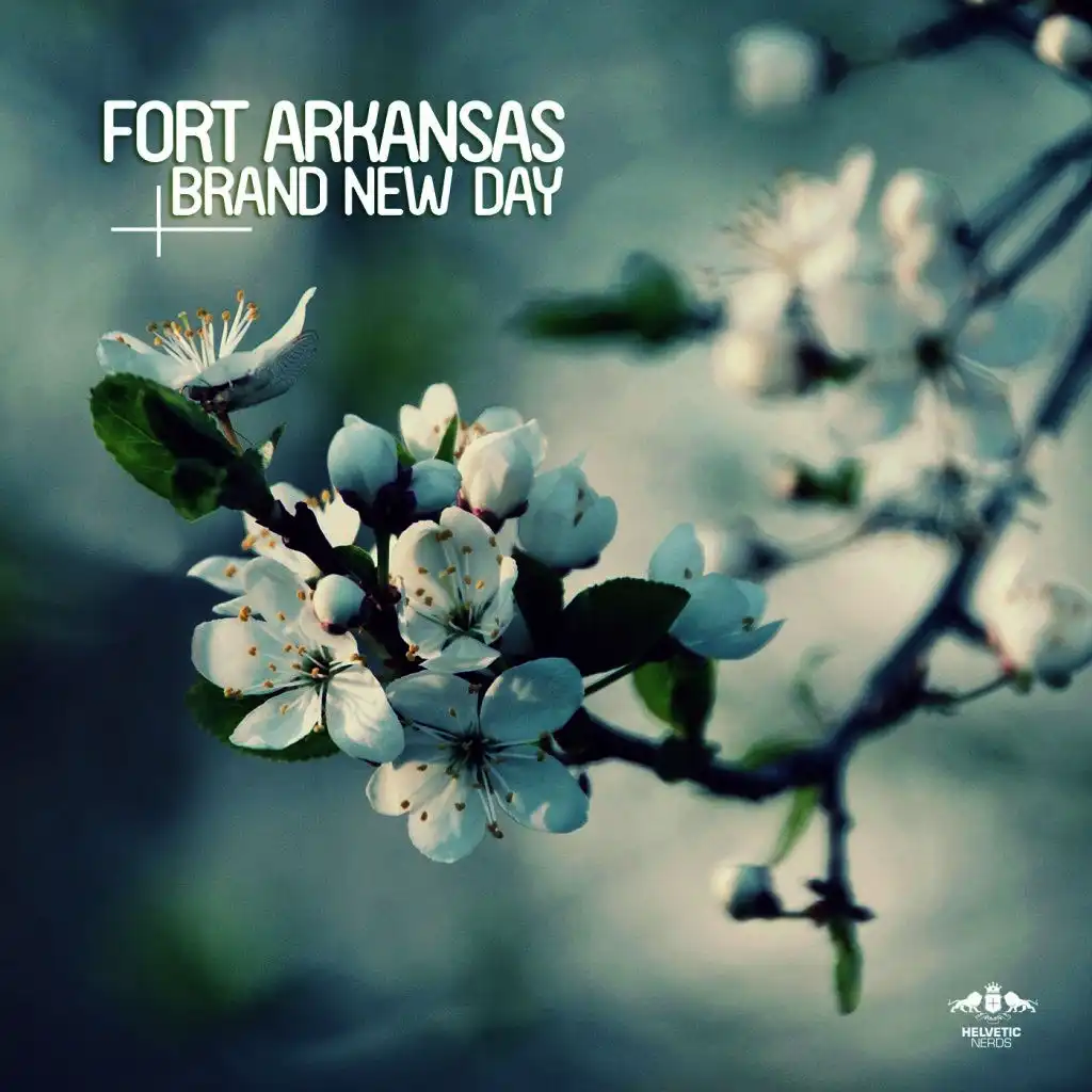 Brand New Day (Original Mix)