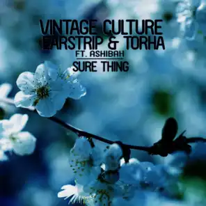 Vintage Culture & Earstrip & Torha feat. Ashibah