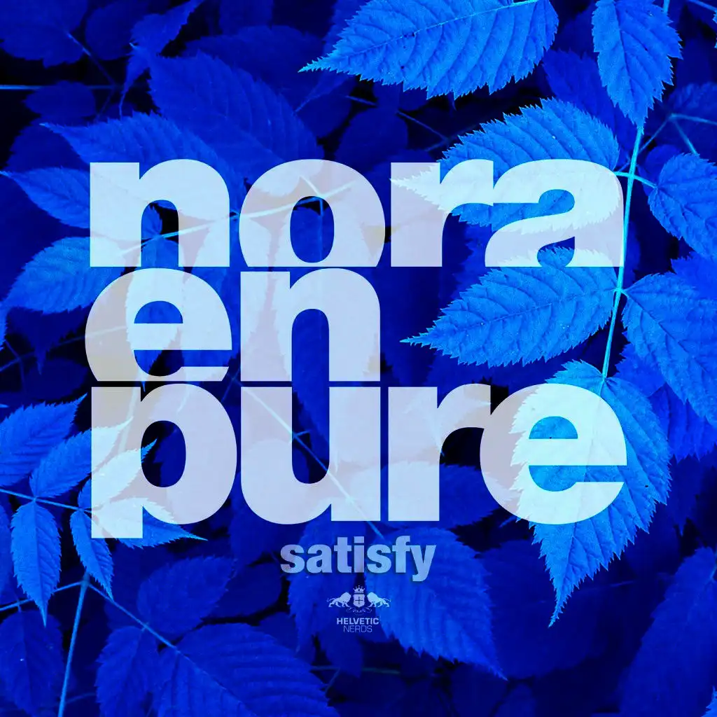 Satisfy (Radio Mix)