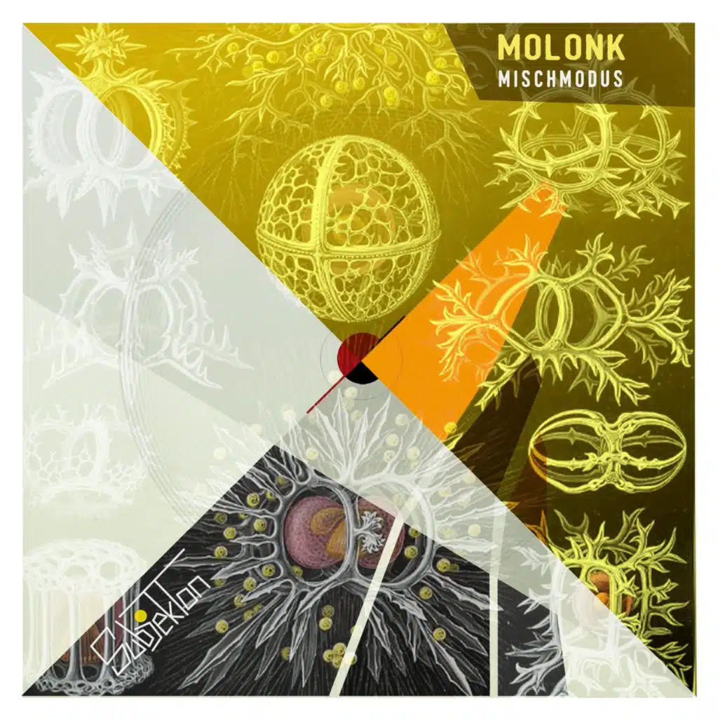 Molonk