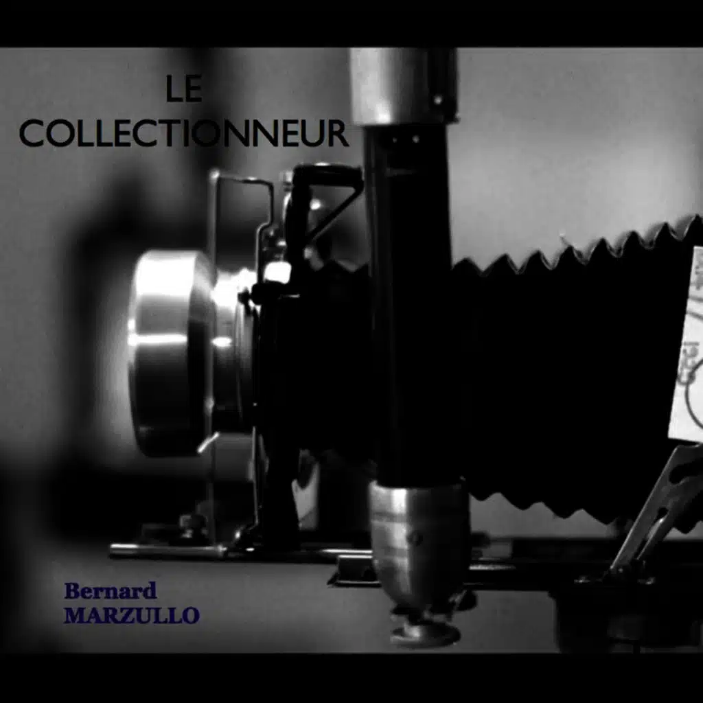 Le collectionneur