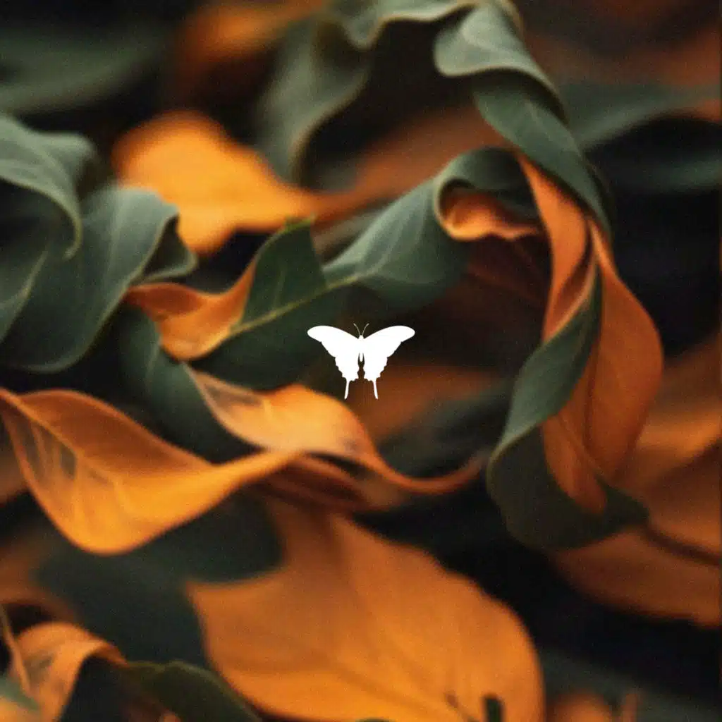 Betrayal (The Remixes)