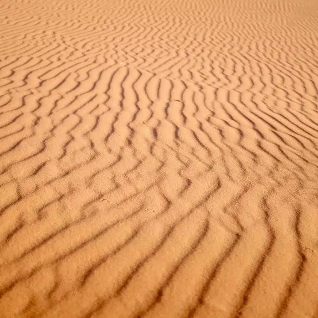 James McAlister & Joel Shearer