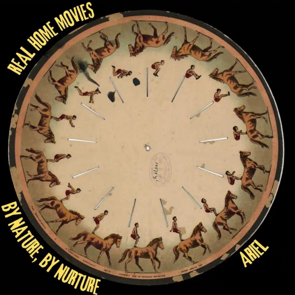 By Nature, By Nurture / ariel